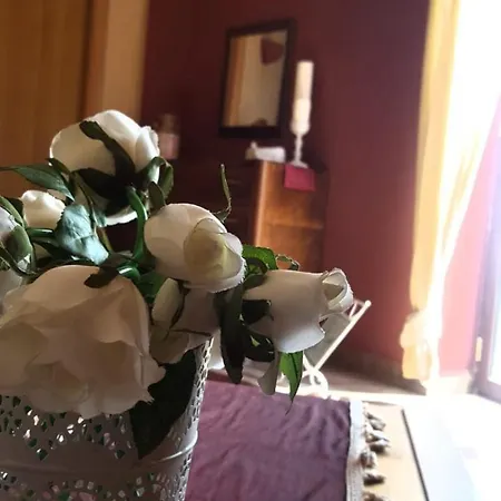 فندق Eurhotel